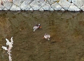 20170313_085131