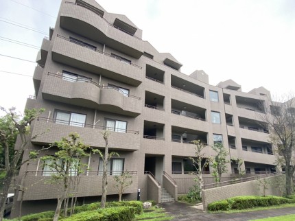 5e202eaeeb35ca15e342cf936e603949